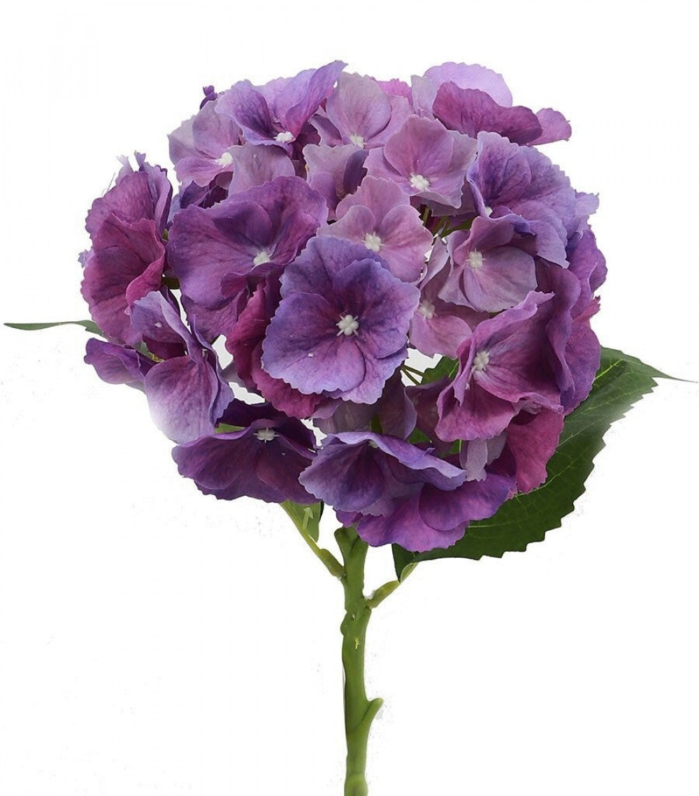 Natural Touch Purple Hydrangea Artificial Flower