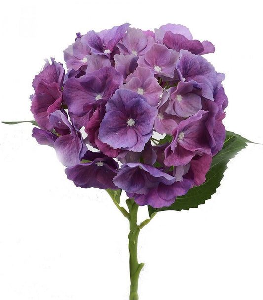 Natural Touch Purple Hydrangea Artificial Flower