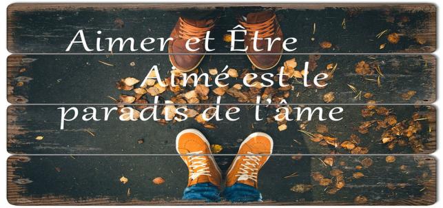 French Text- Aimer Et Etre Amine Est Le Paradis De L'Ame Sign