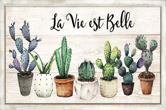 French Text- La Vie Est Belle With Row Of Succulents Sign