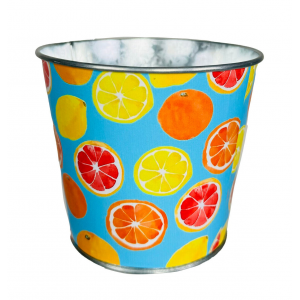 Citrus Blend Metal Planter