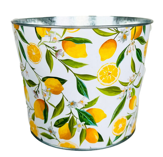 Lemon Zest Planter