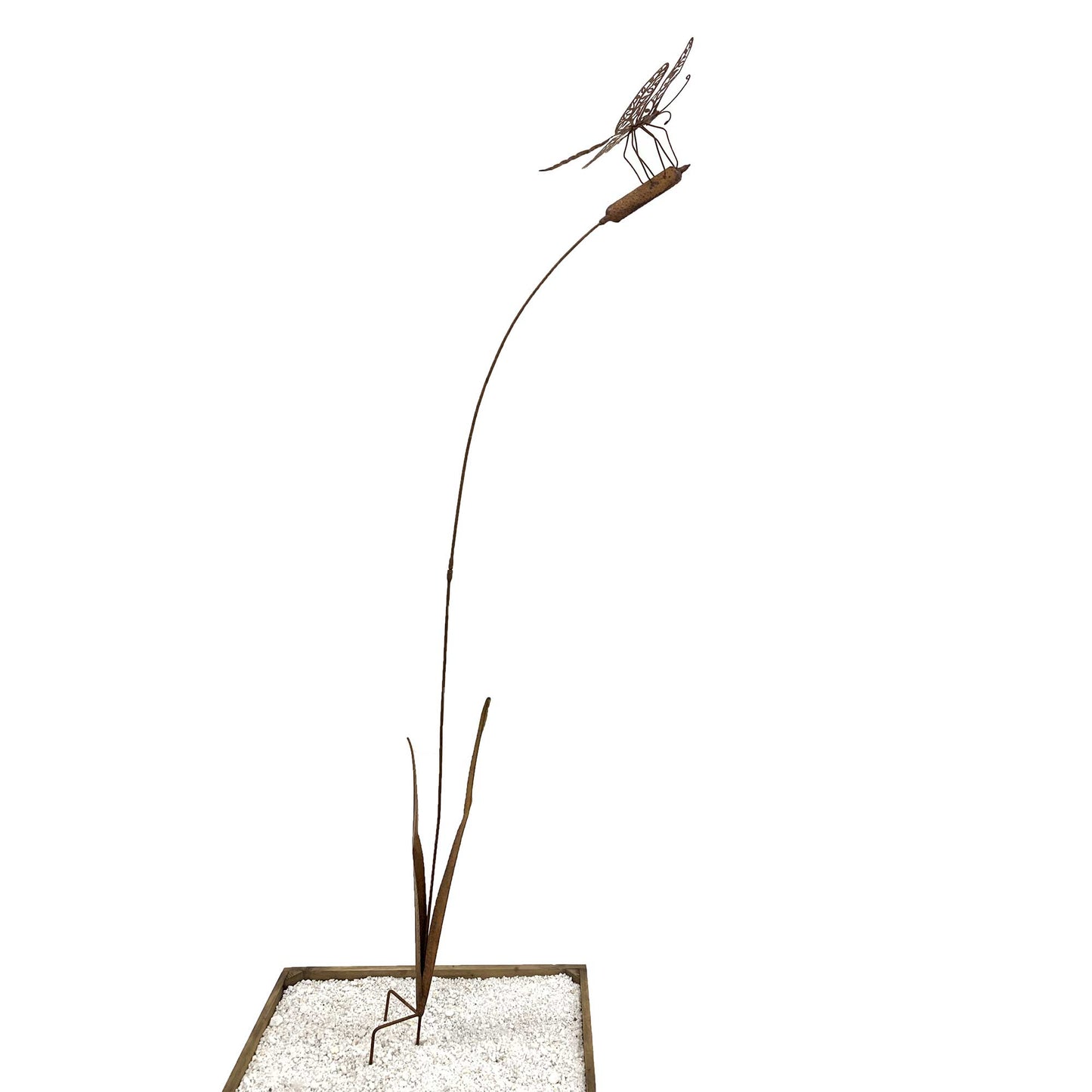 Rustic Dragonfly Landing On A Bullrush Garden Stake