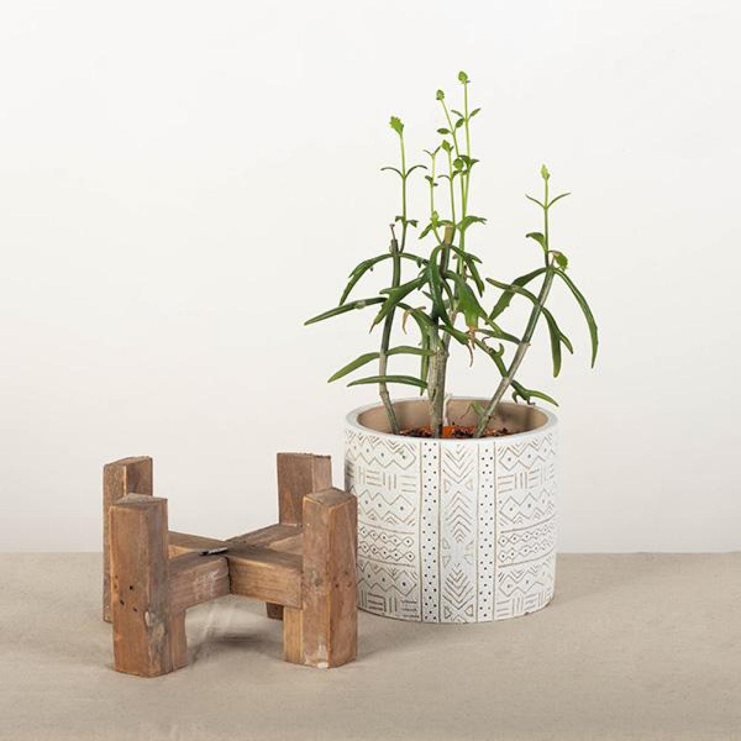 Wooden Plant Stand