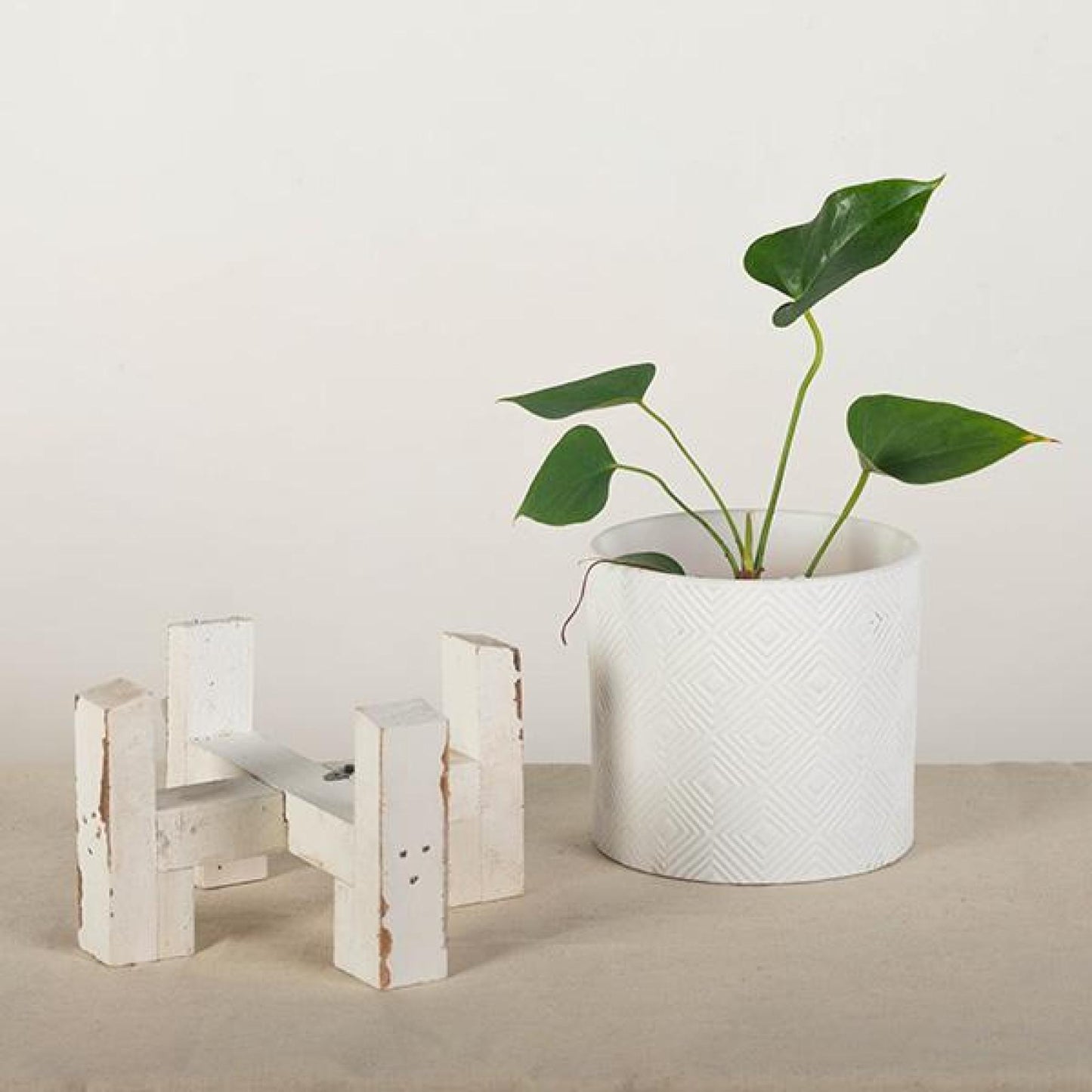 Rustic White Wooden Plant Stand