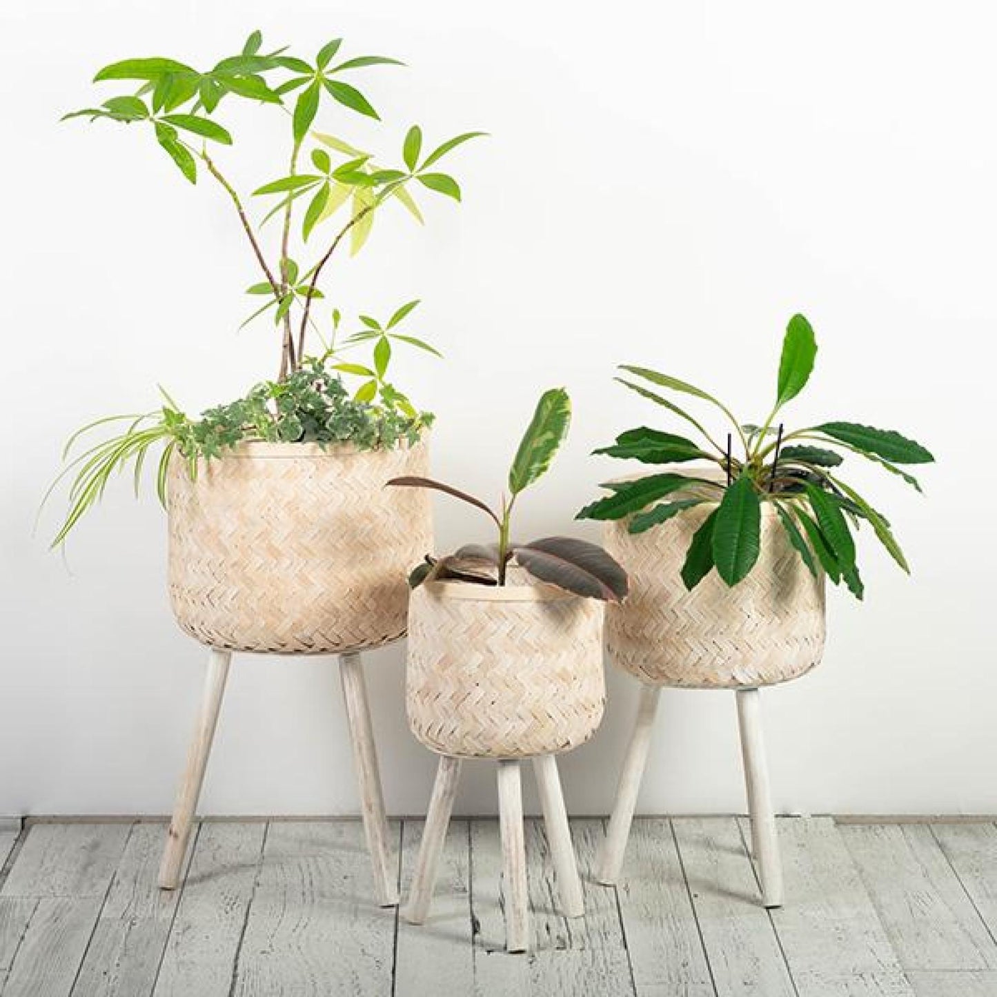 Set Of 3 Washed White Bamboo On Wood Tripod Legs Plant Stand