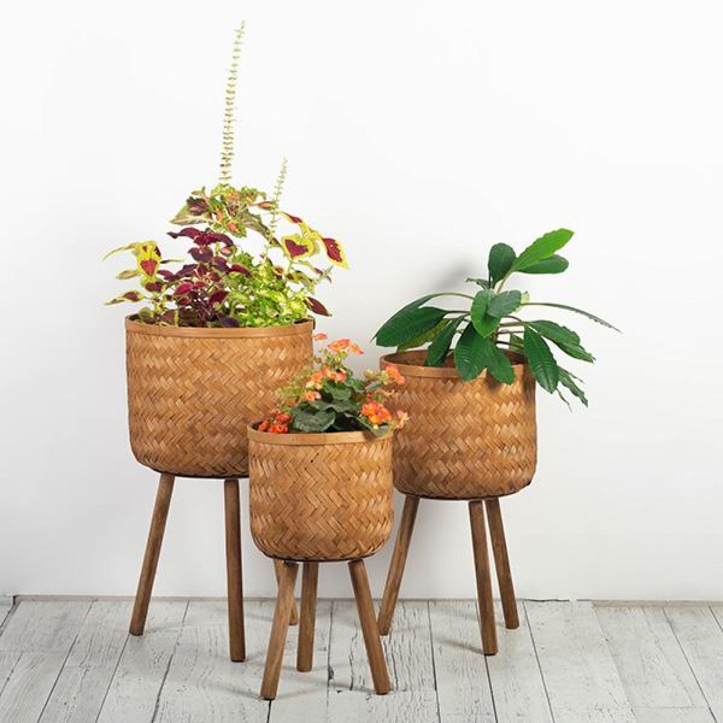 Set Of 3 Brown Bamboo On Wooden Tripod Legs Plant Stand