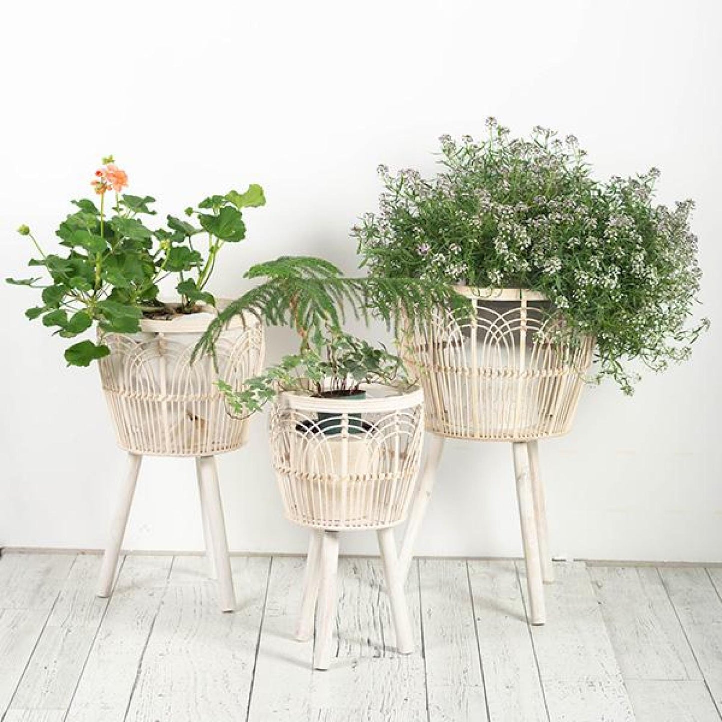 Set Of 3 White Bamboo On Wooden Tripod Legs Plant Stand