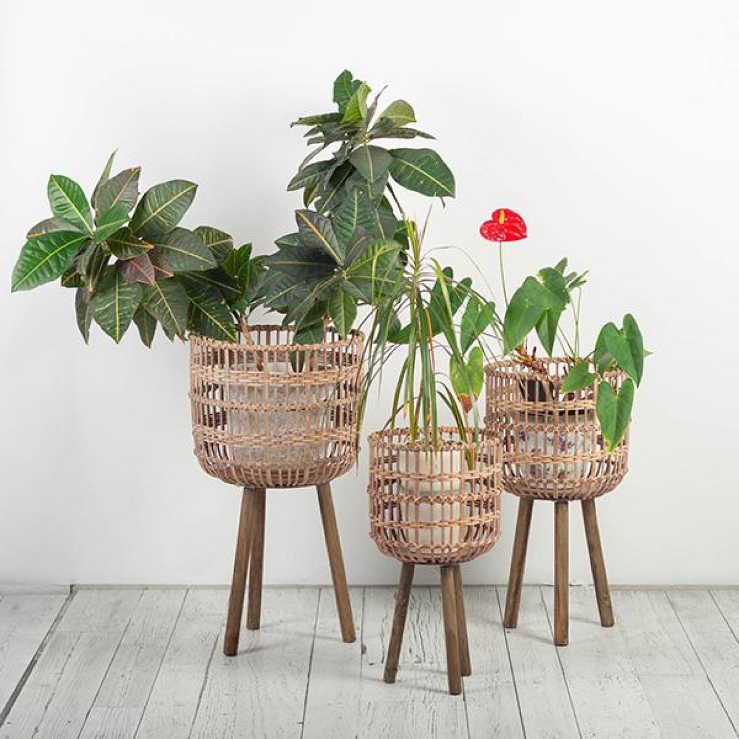 Set Of 3 Brown Bamboo On Wooden Tripod Legs Plant Stand