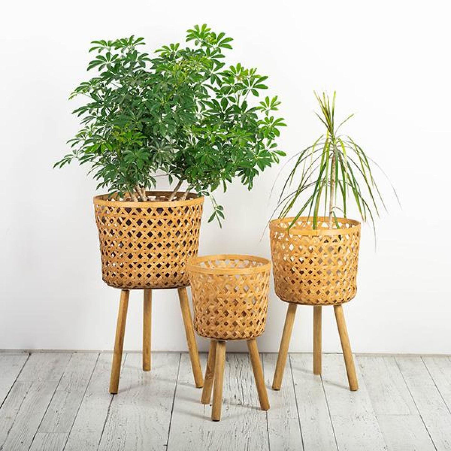 Set Of 3 Natural Bamboo On Wooden Legs Plant Stand