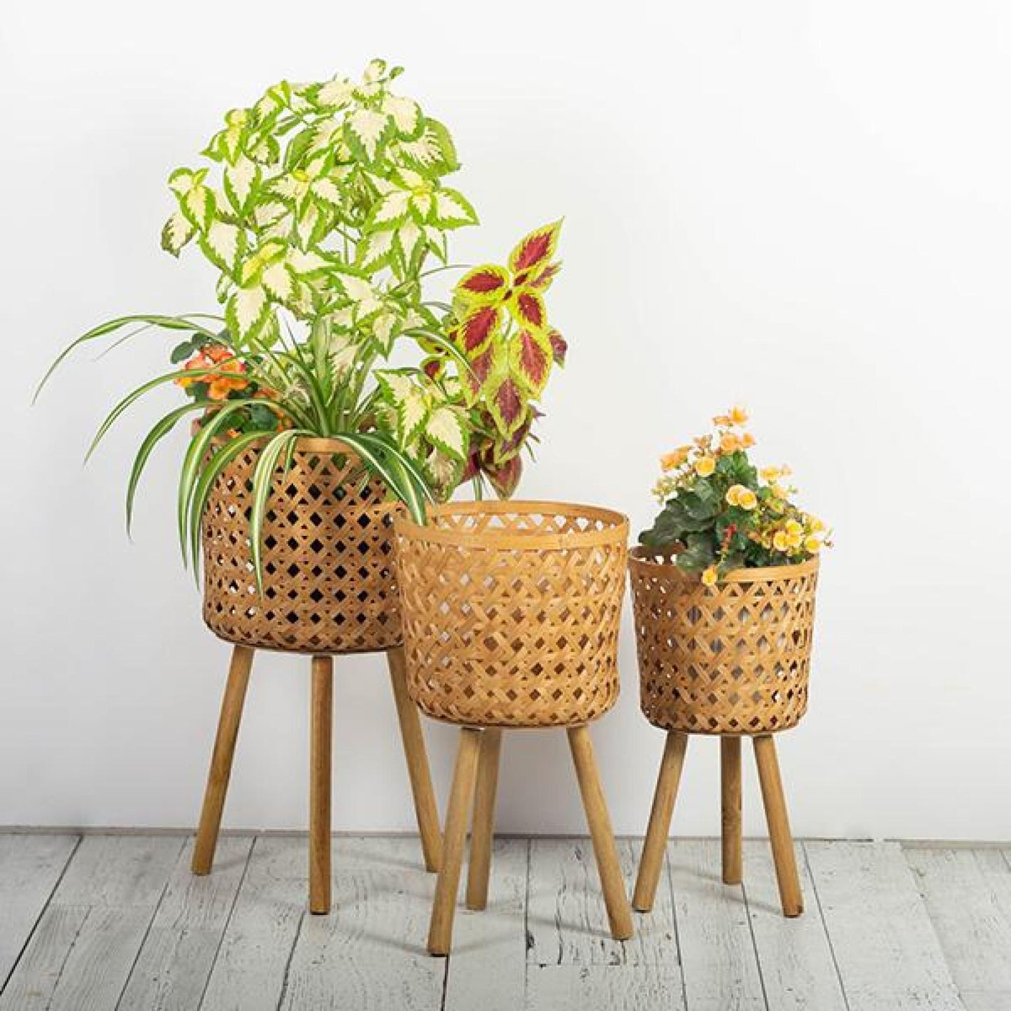 Set Of 3 Natural Bamboo On Wooden Legs Plant Stand