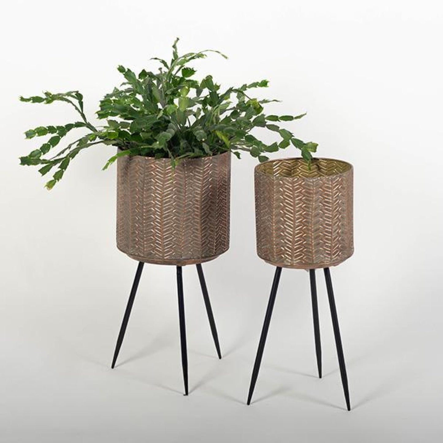 Set Of 2 Round Bronze Colored Pots On Metal Tripod Legs Plant Stand