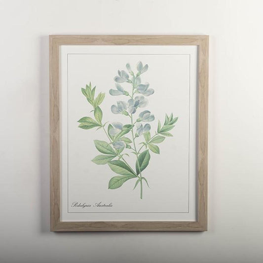 Framed Print Blue Wild Indigo Wall Decor