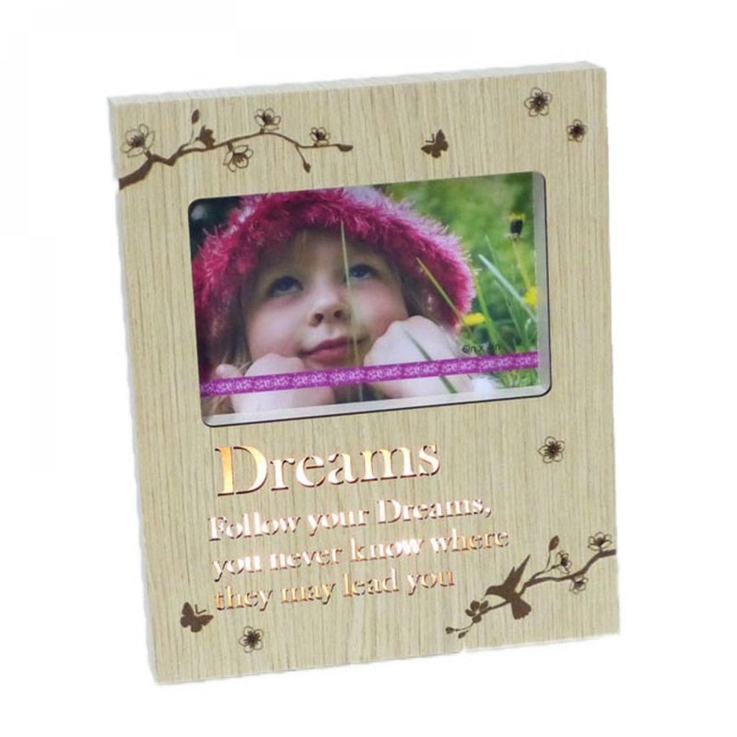 Led Lit Hummingbird On A Branch With Text - Dreams Photo Frame