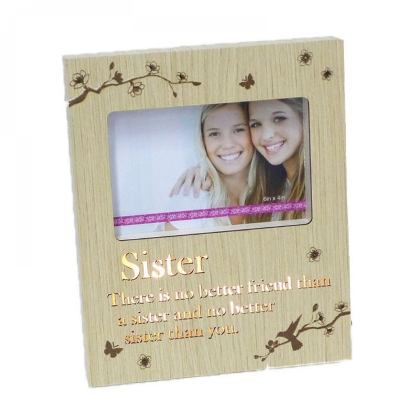 Led Lit Hummingbird On A Branch With Text - Sister Photo Frame