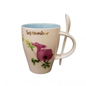 September Morning Glory Mug And Spoon