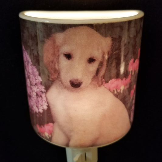 Puppy Print Night Light