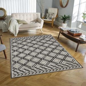 Odessa Gray And Black Rug