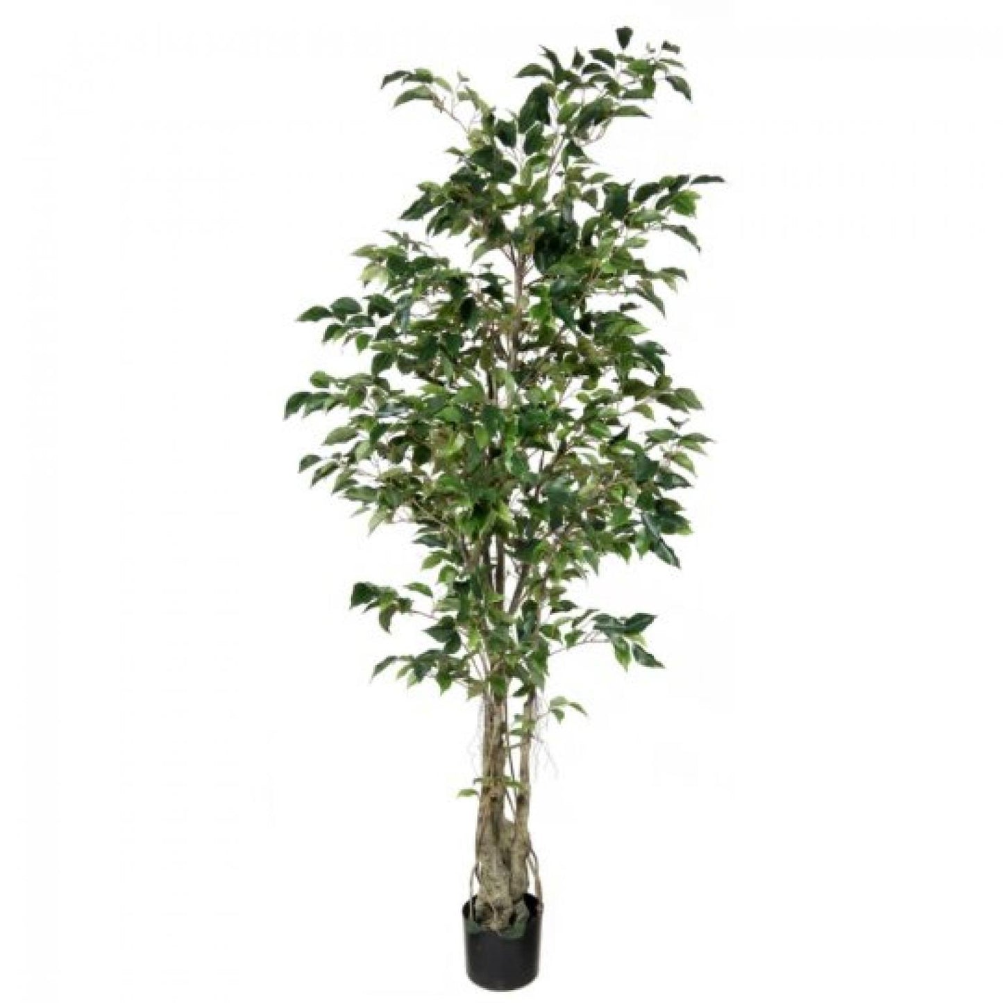 Potted Ficus Tree Faux Plants And Trees