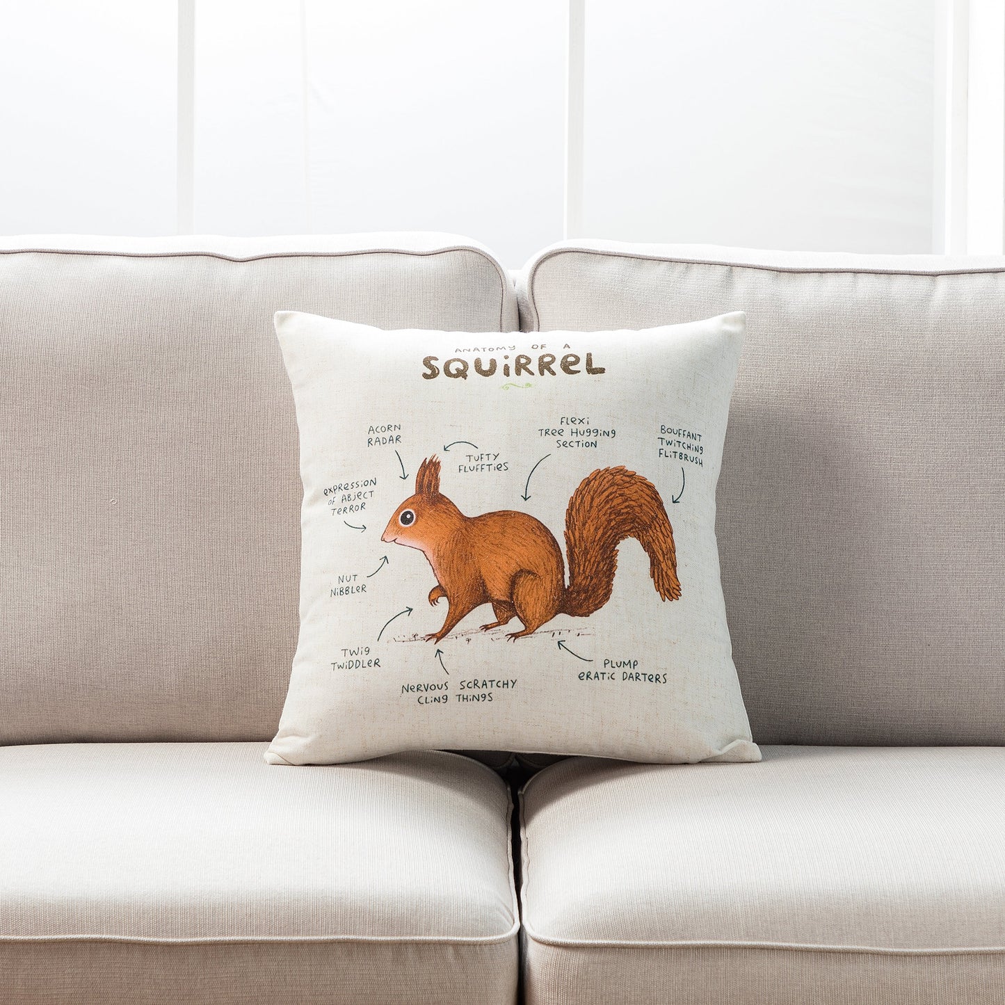 Anatomy Of A Squirrel With Feather Down Insert Pillow