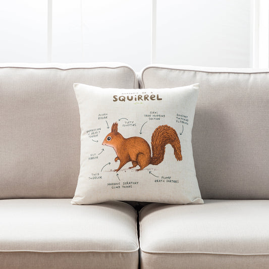 Anatomy Of A Squirrel With Feather Down Insert Pillow