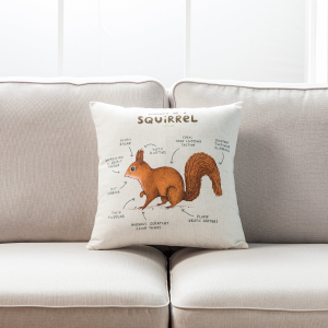 Anatomy Of A Squirrel With Feather Down Insert Pillow