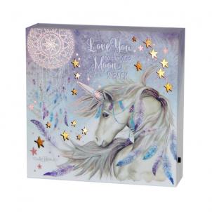 Led Lit Unicorn And Dreamcatcher With Text - Moon And Back Plaque